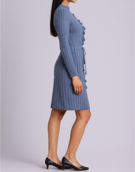 Light Blue Knee Length Dress